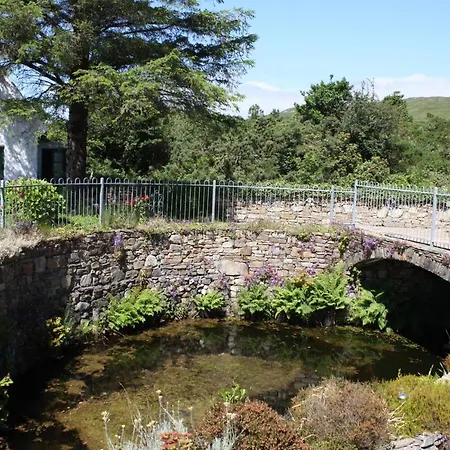 Dan O'hara كليفدين