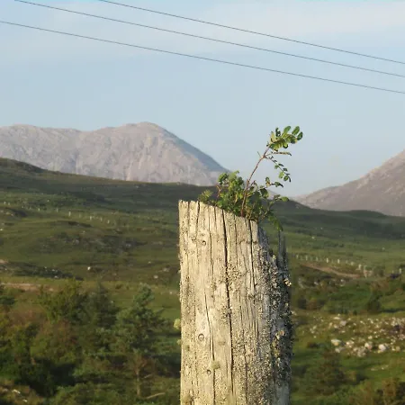 Dan O'hara بيت ضيافة 4*