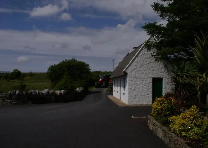Pensionat Dan O'hara Clifden