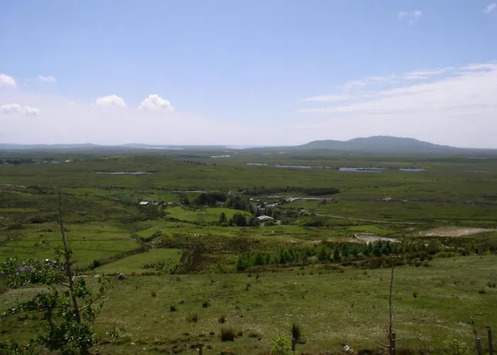 Guest house Dan O'hara 4*