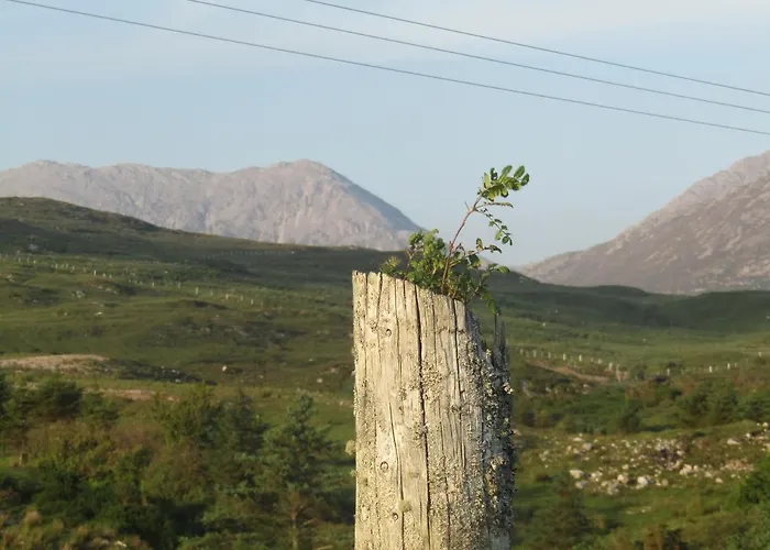 Dan O'hara Guest house 4*